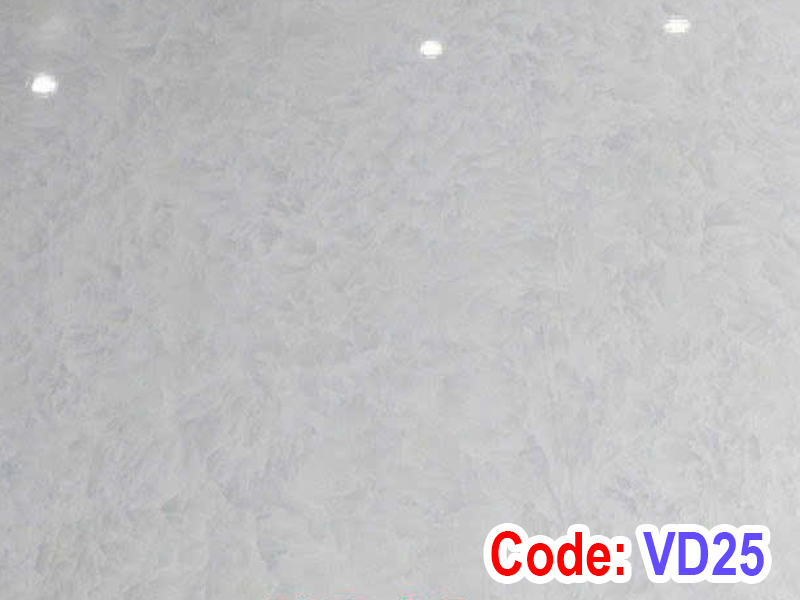tấm ốp tường trần nano VD25