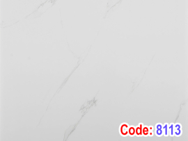 Tấm ốp tường trần nano 8113