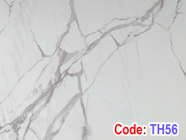 Tấm ốp tường trần nano TH56