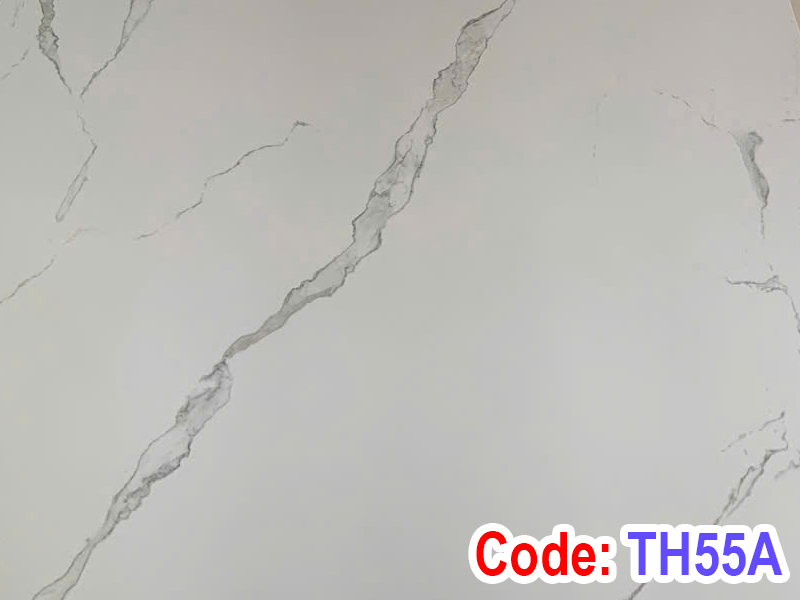 Tấm ốp tường trần nano TH55A